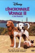 Watch Homeward Bound II Lost in San Francisco Vumoo