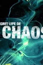 Watch The Secret Life of Chaos Vumoo
