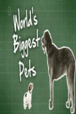 Watch World's Biggest Pets Vumoo