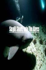 Watch National Geographic Wild Sixgill Shark Into The Abyss Vumoo