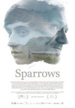 Watch Sparrows Vumoo