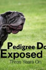 Watch Pedigree Dogs Exposed, Three Years On Vumoo