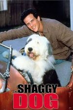 Watch The Shaggy Dog Vumoo