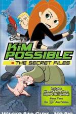 Watch "Kim Possible" Attack of the Killer Bebes Vumoo