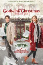 Watch A Godwink Christmas: Miracle of Love Vumoo