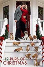 Watch 12 Pups of Christmas Vumoo