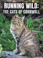 Watch Running Wild: The Cats of Cornwall (TV Special 2020) Vumoo
