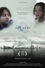 Watch Red Knot Vumoo