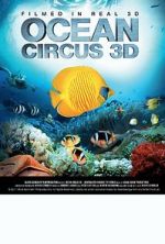 Watch Ocean Circus 3D: Underwater Around the World Vumoo