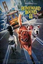 Watch Homeward Bound II: Lost in San Francisco Vumoo