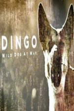 Watch Dingo Wild Dog at War Vumoo