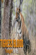 Watch Discovery Channel-Tigress Blood Vumoo