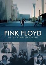 Watch Pink Floyd: The Story of Wish You Were Here Vumoo