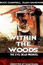 Watch Within the Woods Vumoo