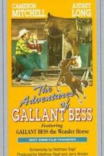 Watch Adventures of Gallant Bess Vumoo