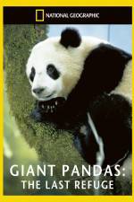 Watch National Geographic Giant Pandas The Last Refuge Vumoo