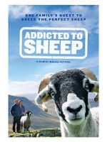 Watch Addicted to Sheep Vumoo