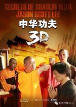 Watch Secrets of Shaolin with Jason Scott Lee Vumoo