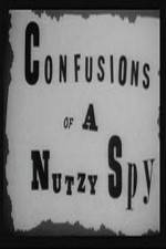 Watch Confusions of a Nutzy Spy Vumoo