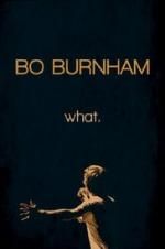 Watch Bo Burnham: what. Vumoo