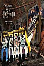 Watch Harry Potter and the Forbidden Journey Vumoo
