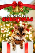 Watch A Bengal for Christmas Vumoo