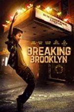 Watch Breaking Brooklyn Vumoo