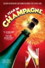 Watch A Year in Champagne Vumoo