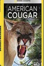 Watch National Geographic - American Cougar Vumoo