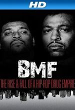 Watch BMF: The Rise and Fall of a Hip-Hop Drug Empire Vumoo
