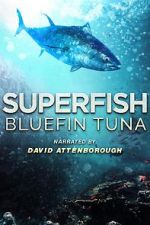 Watch Superfish Bluefin Tuna Vumoo
