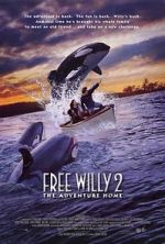 Watch Free Willy 2: The Adventure Home Vumoo