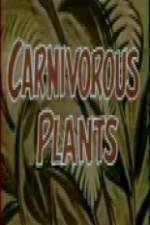 Watch Carnivorous Plants Vumoo