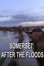 Watch Somerset: After the Floods Vumoo