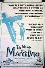 Watch The Miracle of Marcelino Vumoo