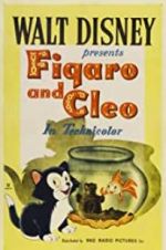 Watch Figaro and Cleo Vumoo