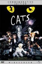 Watch Great Performances Cats Vumoo