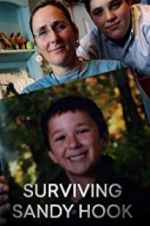 Watch Surviving Sandy Hook Vumoo