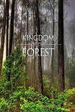 Watch National Geographic Kingdom of the Forest Vumoo