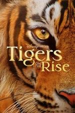 Watch Tigers on the Rise Vumoo
