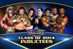 Watch WWE Hall of Fame Vumoo