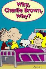 Watch Why Charlie Brown Why Vumoo