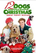 Watch 12 Dogs of Christmas: Great Puppy Rescue Vumoo