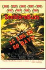 Watch SeeMoreBuds: Vol. 1 Vumoo