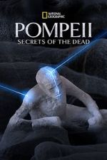 Watch Pompeii: Secrets of the Dead (TV Special 2019) Vumoo