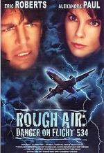 Watch Rough Air: Danger on Flight 534 Vumoo