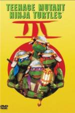 Watch Teenage Mutant Ninja Turtles III Vumoo
