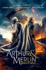 Watch Arthur & Merlin: Knights of Camelot Vumoo