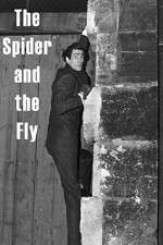 Watch The Spider and the Fly Vumoo