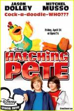 Watch Hatching Pete Vumoo